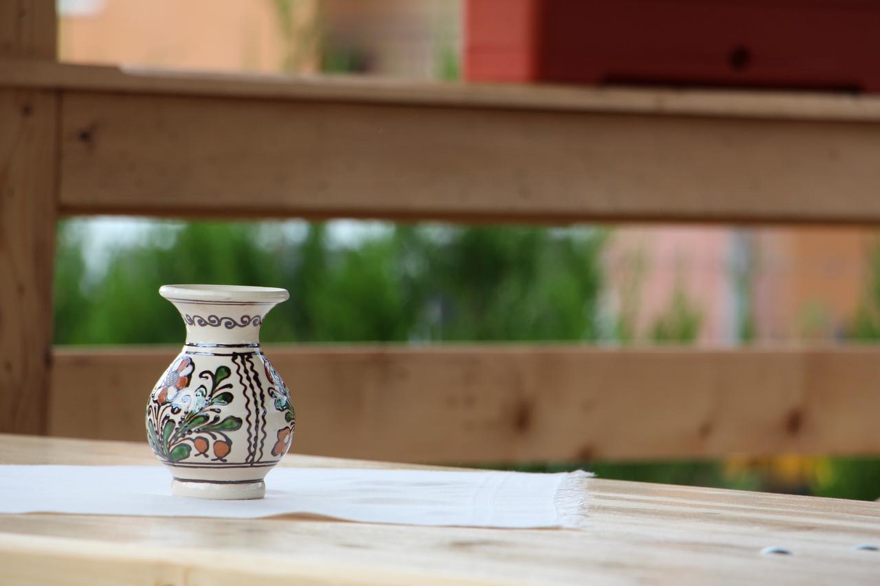 Casa Ralucai Hotel Moisei Luaran gambar
