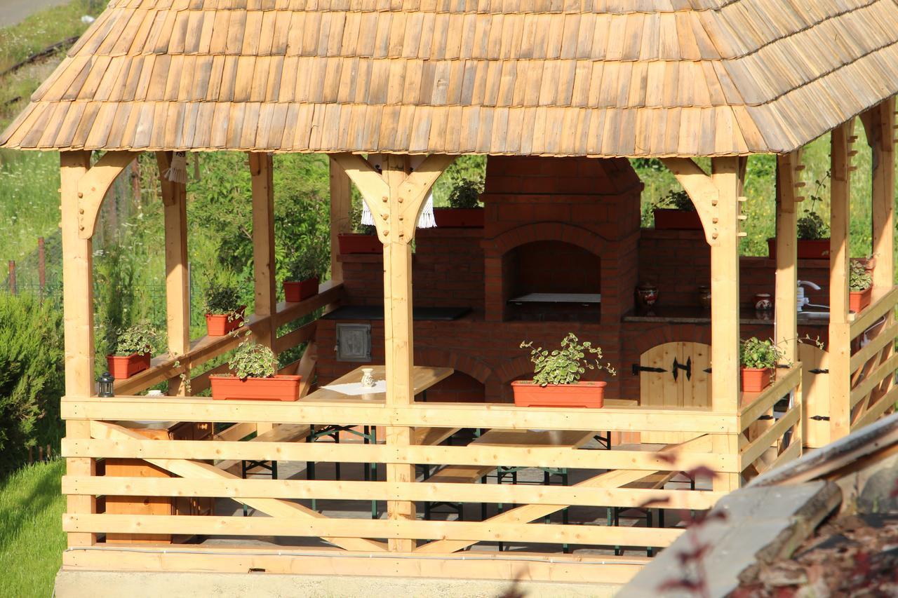 Casa Ralucai Hotel Moisei Luaran gambar